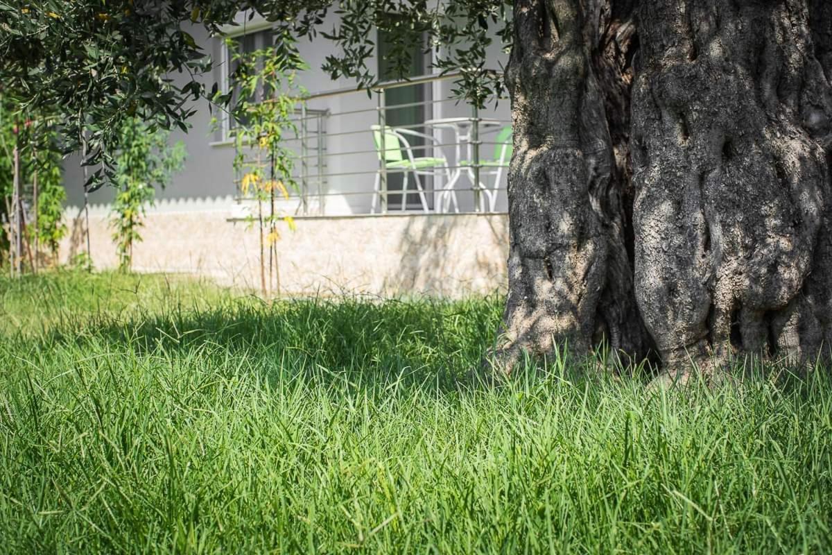 Ferienwohnung MougkrasStudio Skala Rachoni  Exterior foto